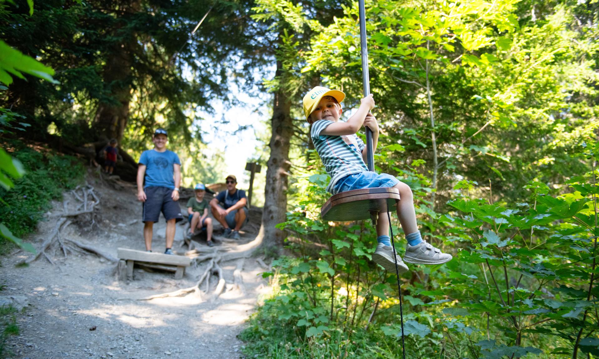 Riesenwald Elm Zipline