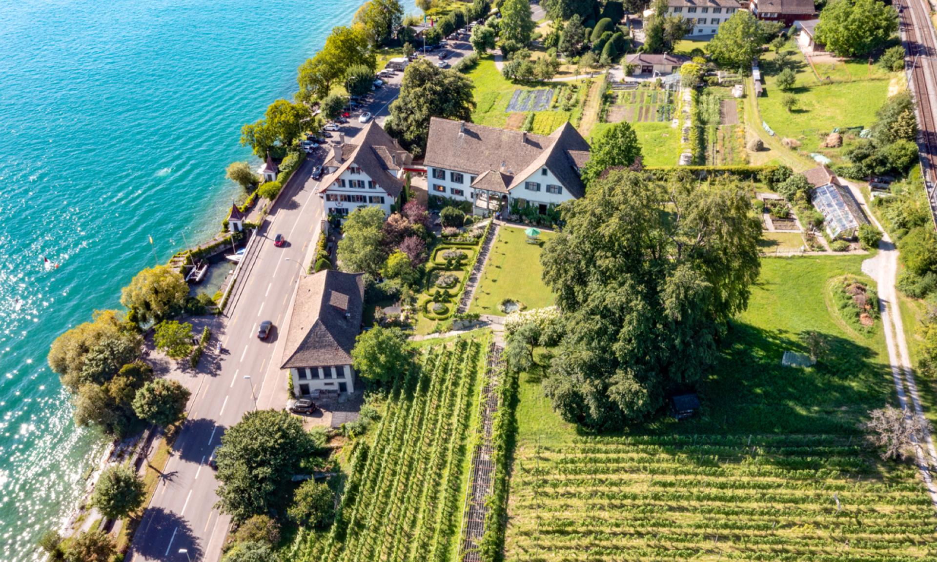 Weingut Schipf von oben