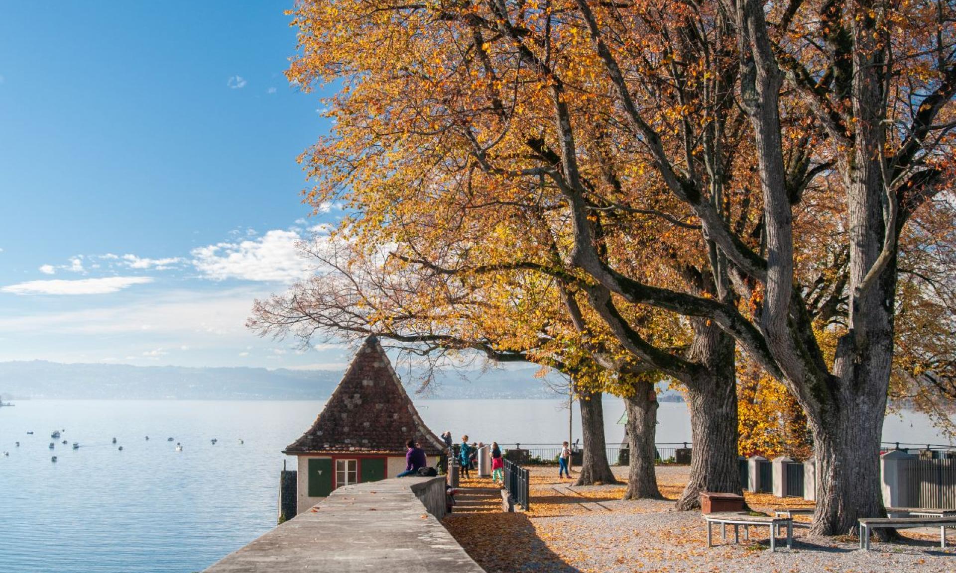 Rapperswil klassischer Stadtrundgang mit Schlosshügel