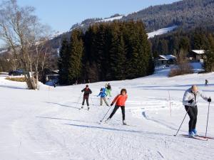 Rickenloipe (cross-country ski loops)