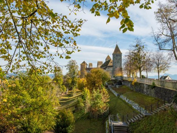 Blick auf Schloss Rapperswil über den Hirschpark