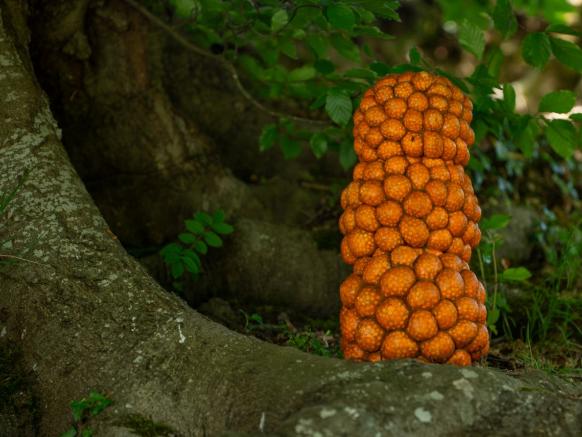 Kunst art ufnau