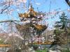 Der Chinagarten ist ein Geschenk der chinesischen Partnerstadt Kunming